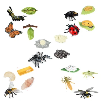 Ciclul de viață Figurine de Fluture Spider Albina Gargarita Dragonfly Plastic Insecte Bug Cifre Jucărie Proiect de Școală pentru Copii